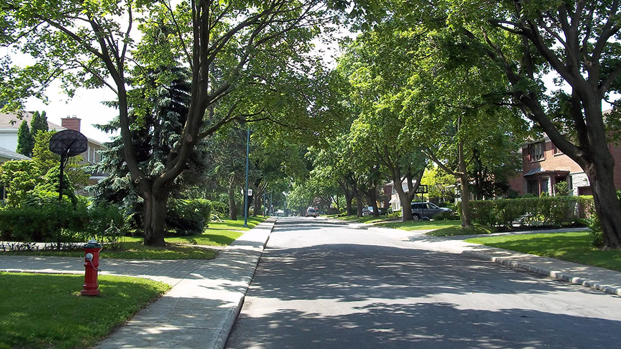 Radios en direct de la ville de: Mont-Royal